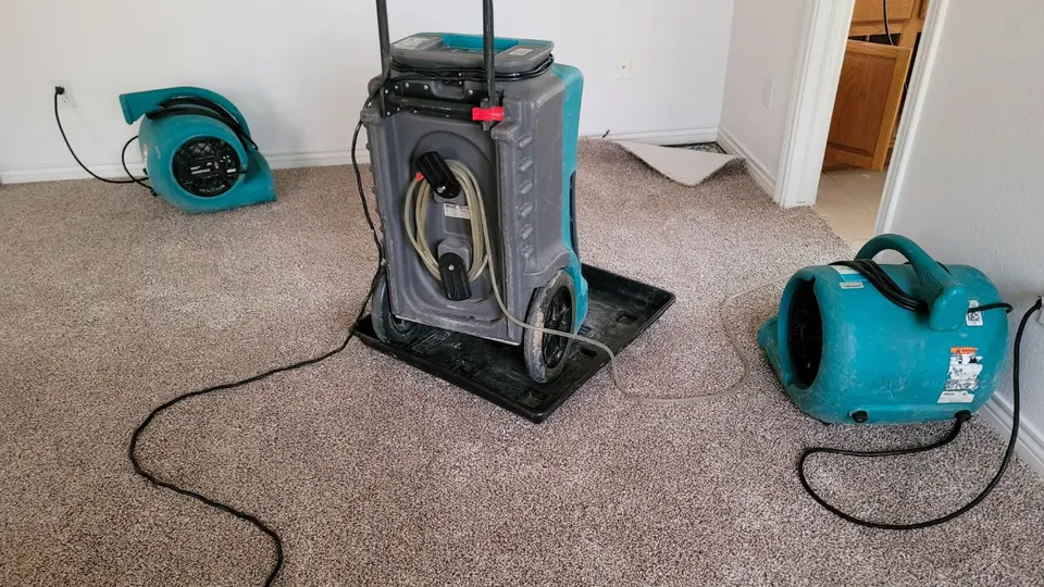 Dehumidifier and air movers running on carpet in a room