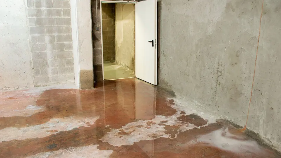 Wet concrete basement floor beside an open doorway