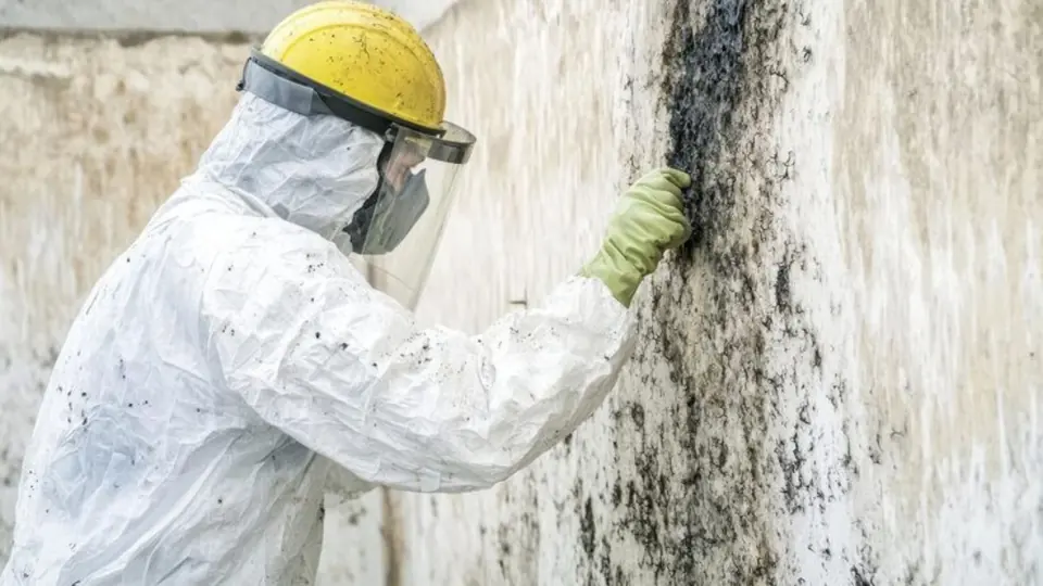 Worker in a hard hat and protective suit cleaning a moldy wall