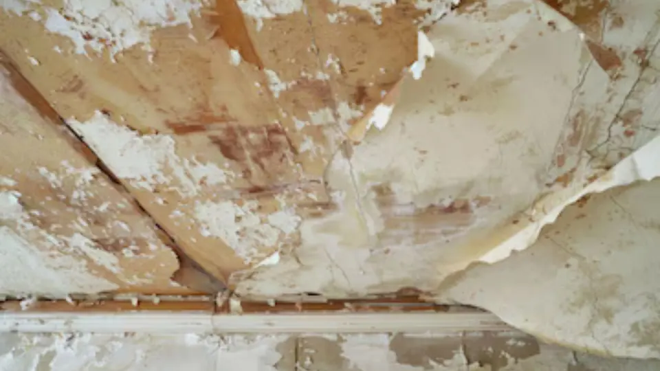 Stained, peeling ceiling paint after a roof or pipe leak